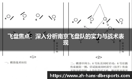 飞盘焦点：深入分析南京飞盘队的实力与战术表现